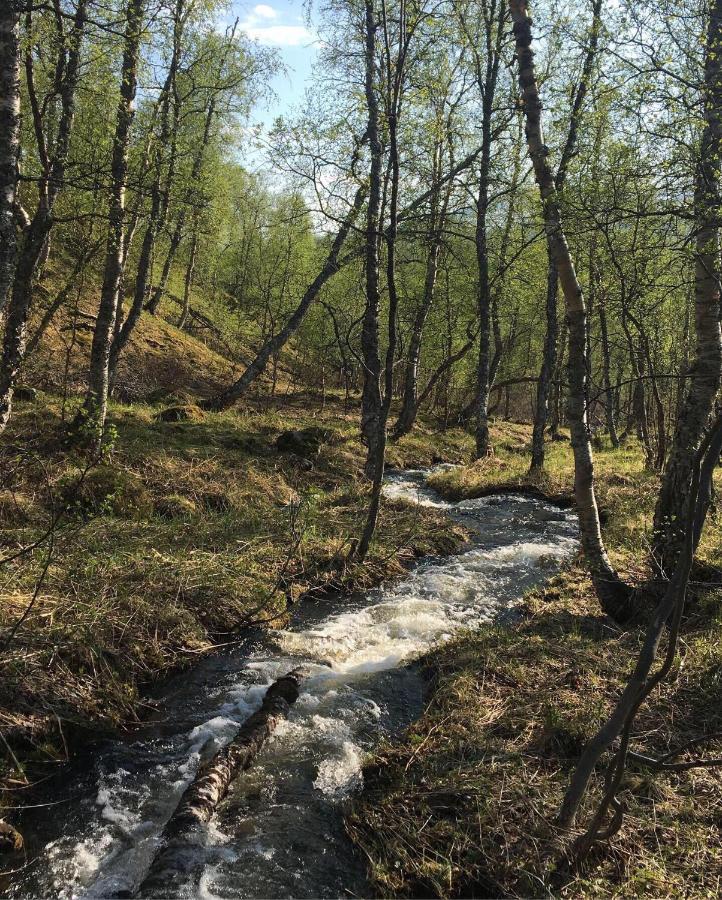 Stf Hemavans Fjaellcenter Dış mekan fotoğraf